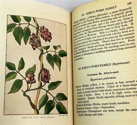 Lot 1934 Wild Flowers Worth Knowing By Neltje Blanchan Illustrated