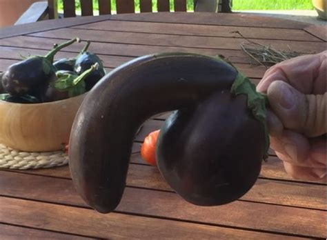 Is That An Eggplant You Re Auctioning Or Are You Just Glad To See Me Huffpost Weird News