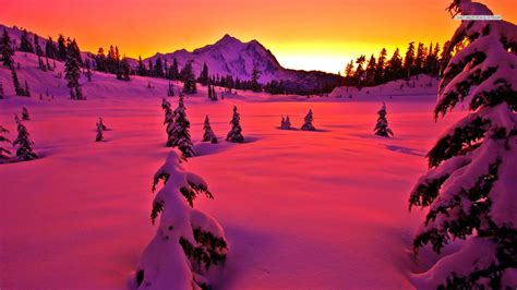 Pink Sunset In The Winter Wallpaper Winter Landscape Winter Scenery