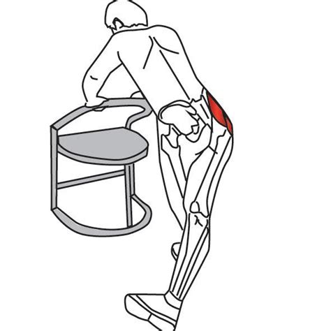 The Tensor Fascia Lata Is Implicated In A Range Of Lower Extremity