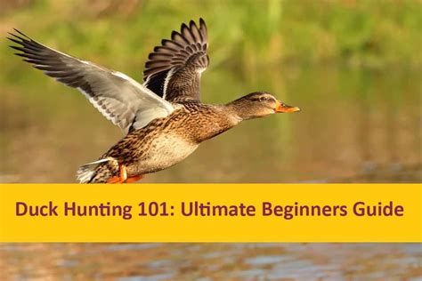 Duck Hunting 101 Ultimate 2021 Beginners Guide Catch Them Easy