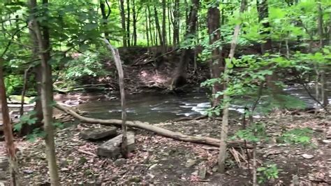 Yellow Creek Park Trail Struthers Oh Youtube