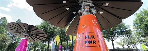 Maybe you would like to learn more about one of these? Flowers Of Marietta Coupon : Rock Marietta Flowers Allover ...