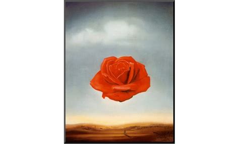 Rose Meditative 1958 By Salvador Dali Groupon