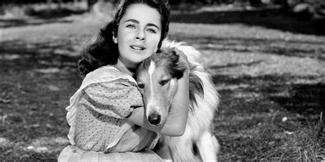 Lassie Come Home 1943