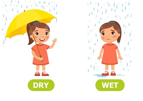 Premium Vector Illustration Of Opposites Dry And Wet