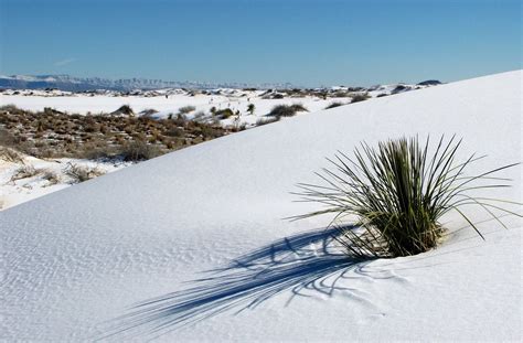 12 Best Things To Do In White Sands National Park In 2022 White Sands