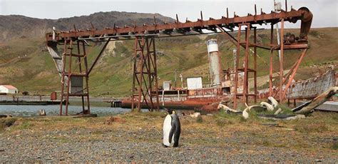 Grytviken An Abandoned Whaling Station In The South Atlantic