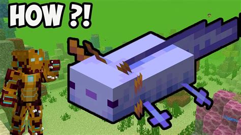 Minecraft How To Breed Blue Axolotl 2024 Youtube