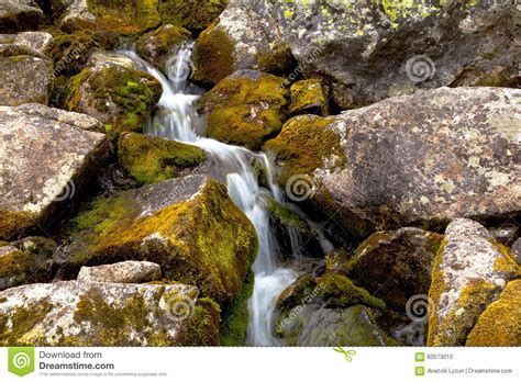 Mountain Stream Flowing Among The Mossy Stones Stock Photo Image Of