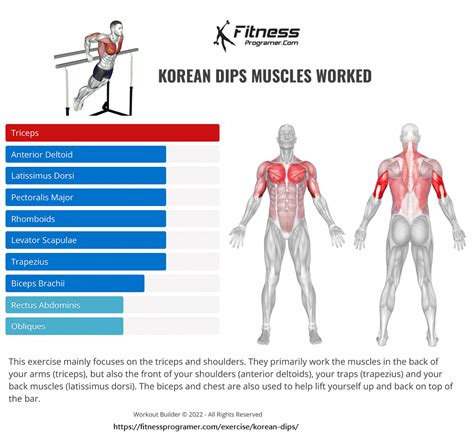 How To Do Korean Dips Muscles Worked And Benefits