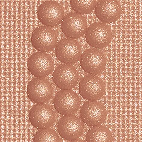 LES SYMBOLES DE CHANEL 香奈儿象征符号高光盘 Warm gold | CHANEL 香奈儿