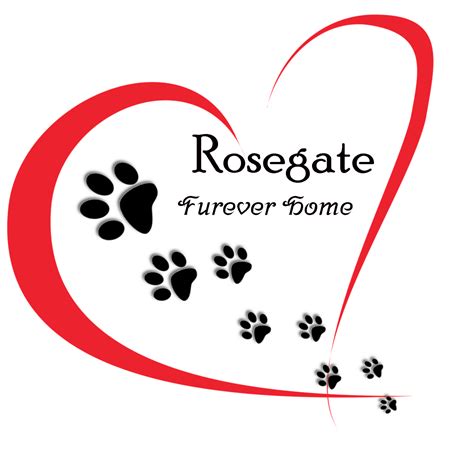 Rosegate Furever Home | GiveMN