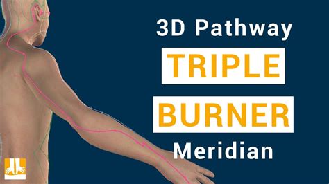 Triple Burner Meridian 3d Pathway From Point To Point Youtube