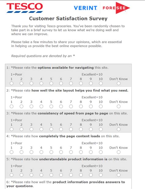 User Survey Template Professional Word Templates