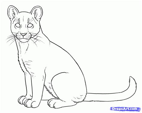 Puma Coloring Pages Coloring Home