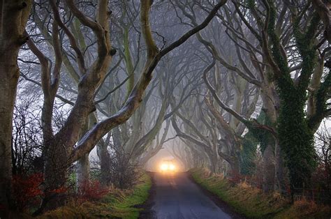 The Dark Hedges Of Ireland 5 Pics I Like To Waste My Time