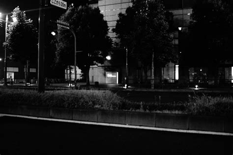 Masaüstü Japonya Sokak Lambası Tek Renkli Şehir Manzarası Gece