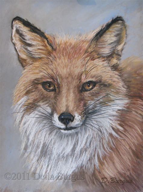 Art Helping Animals Wildlife Painting Red Fox Pastel By