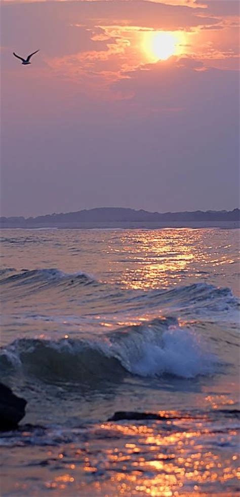 Best 25 Ocean Sunset Ideas On Pinterest Summer Sunset