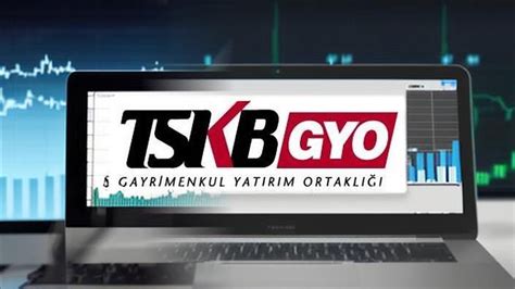 TSGYO TSKB GYO hissesinin son bir yıllık takas animasyonu YouTube