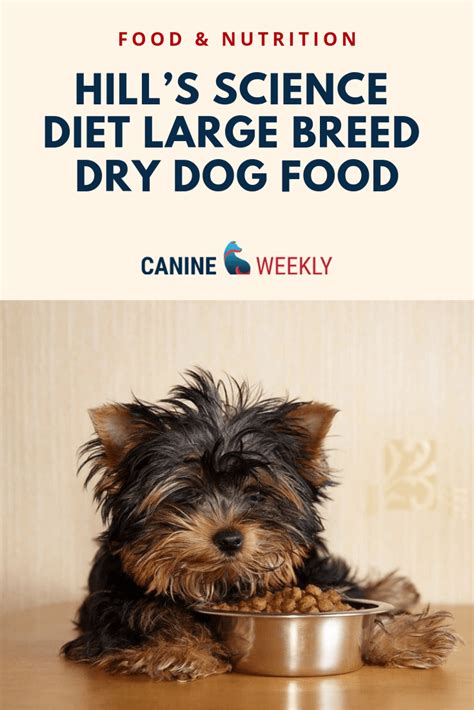 Hill's science diet dog food received a rating of 4.8 out of 5 stars for a number of reasons. Hill's Science Diet Large Breed Dry Dog Food Reviews 2019 ...