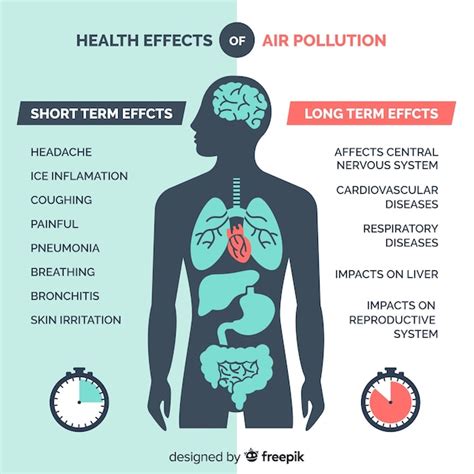Pollution On Human Body Infographic Vector Free Download