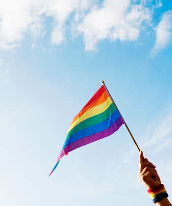 Would you mind doing a demiguy or bi flag with a todoroku shouto theme? California Gender Non-Binary Identity Bill Recognition