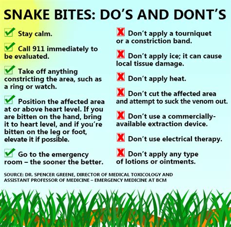Emergency Treatment For Poisonous Snake Bites Snake Poin