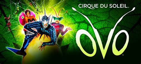 Cirque Du Soleil Ovo Returns To Charlotte In January And You Can Enter