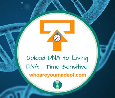 Upload Dna To Living Dna Time Sensitive Who Are You Made Of