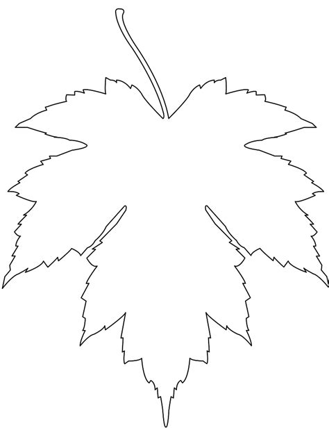 Cottonwood Leaf Silhouette Free Vector Silhouettes