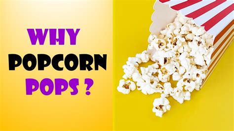 Popcorn Why Popcorn Pops When Heated Youtube