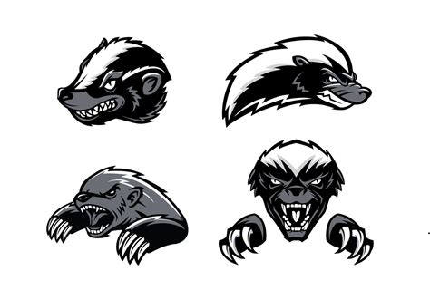 Honey Badger Vector Art Icons And Graphics For Free Download