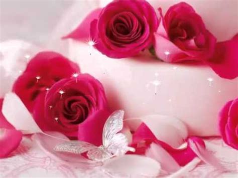 Most Beautiful Flowers Wallpaper - YouTube