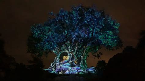 Photos Video Holiday Tree Of Life Awakenings Return To Disneys
