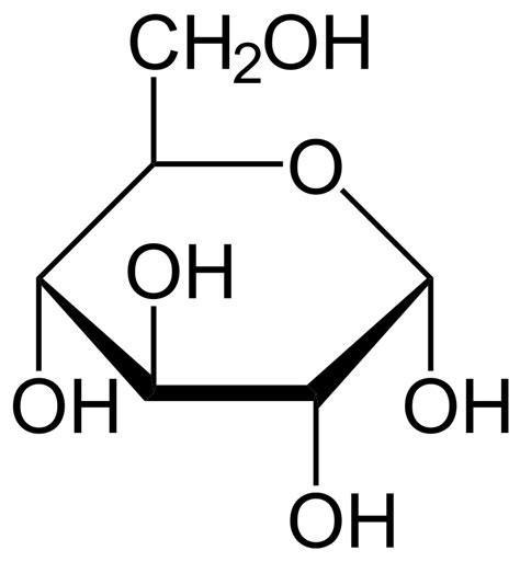 Difference Between Glucose Galactose And Mannose Compare The