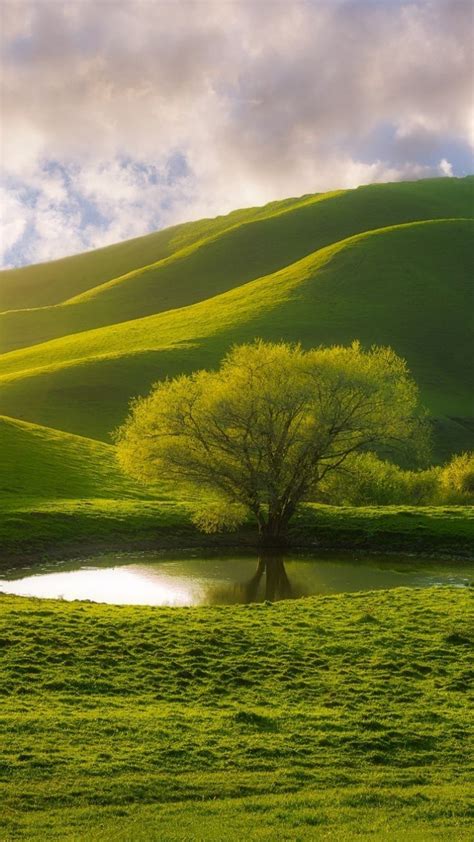 Hill Lake Tree Landscape Green 720x1280 Wallpaper Natural