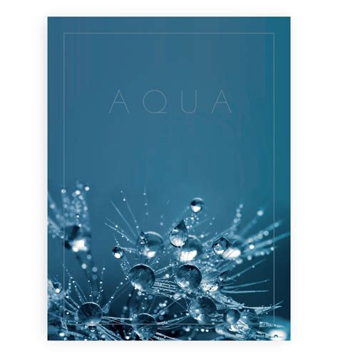 Aqua Fridaypt