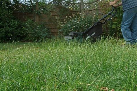 12 Tips For Better Lawn Mowing Bbc Gardeners World Magazine