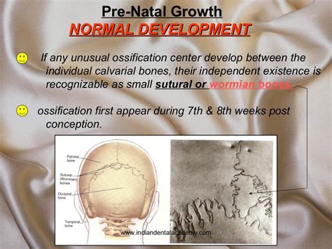 Growth And Development Of Cranial Base And Vault Cranial
