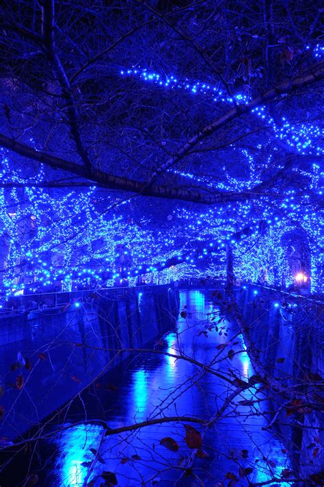 Wallpaper Night Reflection Blue Christmas Lights Tokyo Fujifilm
