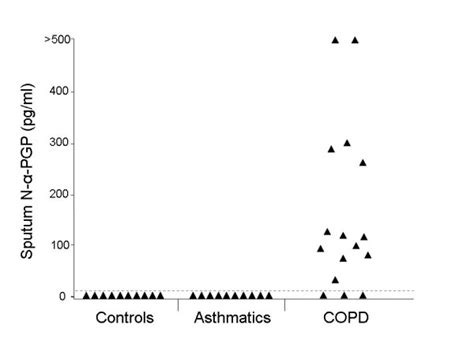 N α Pgp May Be A Sputum Biomarker For Copd Sputum From 13 Of 16 Copd