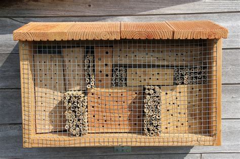 Mason bees pollinate a wide variety of flowers, in addition to fruit trees, with a particular emphasis on the rose family. How to Build Bee Hotels for Solitary Bees - Finding Sea ...