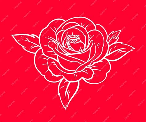 Premium Vector Beautiful Rose Flower Vector Illustration