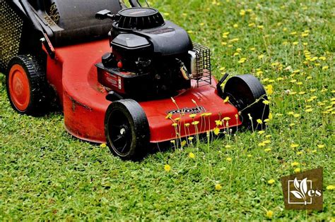 Lawn Mowing Patterns Techniques Designs To Add Vibrancy