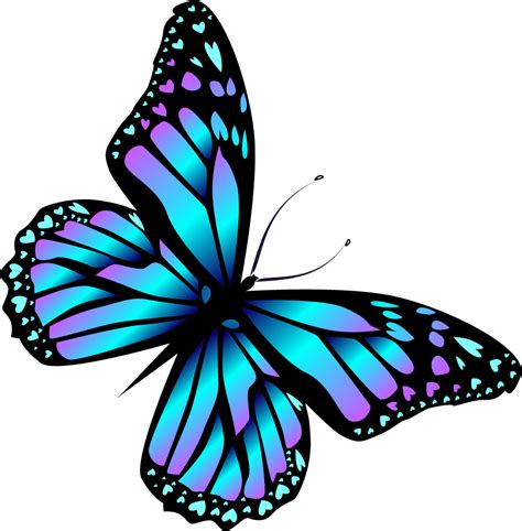 Monarch Butterfly Cartoon Blue Cartoon Blue Butterfly Png Download Free