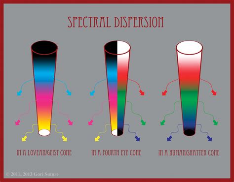 Gori Sutures The Color Of Paradox Vision And Perception ~ How Cones Work