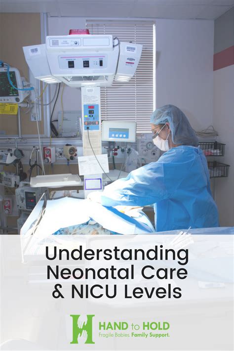 Understanding Neonatal Care And Nicu Levels Preemiebabies101