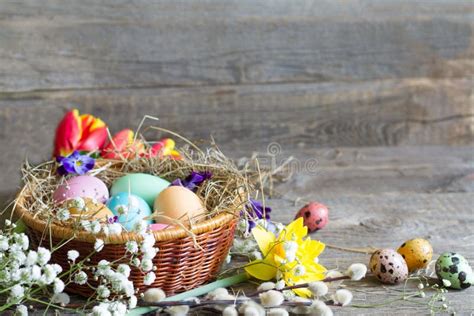 Easter Colorful Eggs In The Nest With Flowers On Vintage Wooden Boards